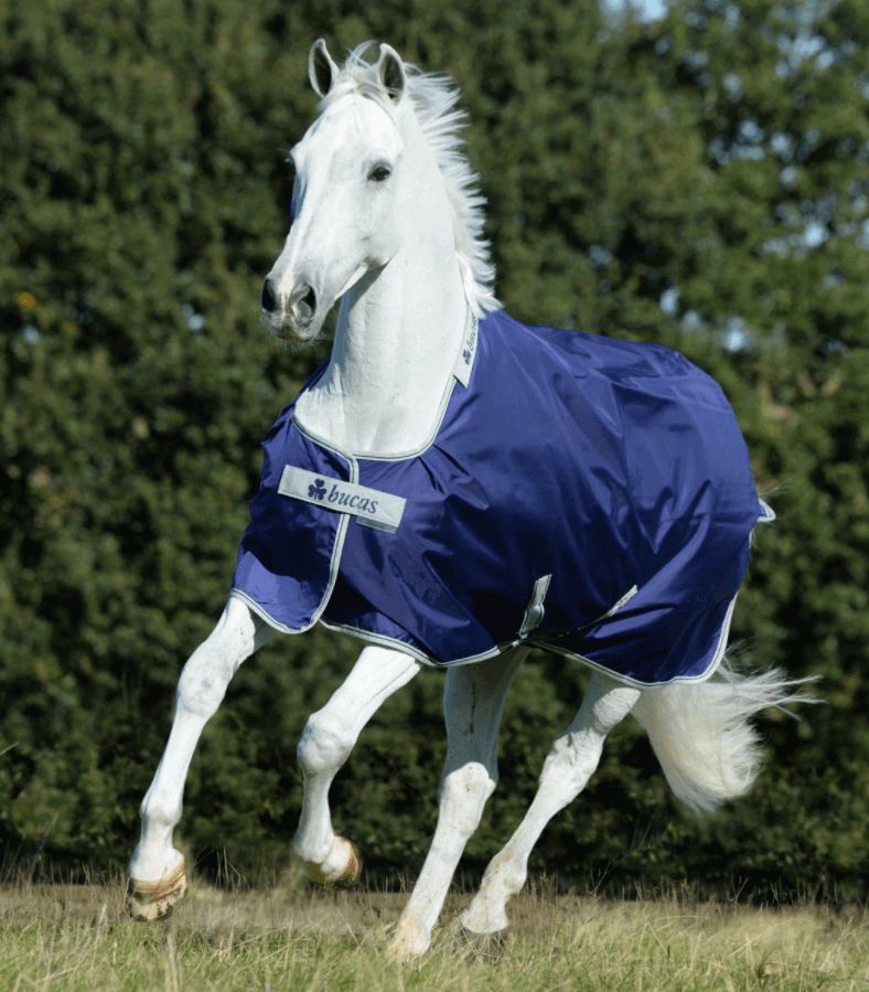 Bucas Outdoordecke 50g Atlantic Turnout Weidedecke, Navy, Pferd auf der Weide.