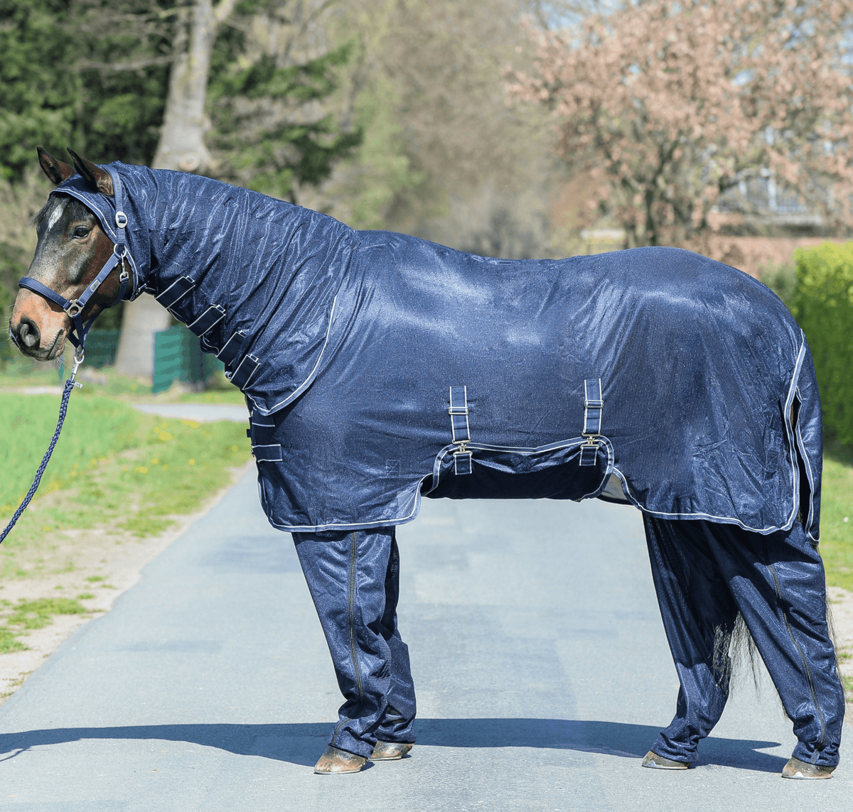 Fliegendecke Complete Plus, Navy, Pferd trägt Komplettschutz mit Beinschutz im Freien.