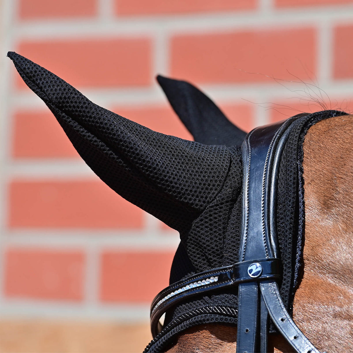 Fliegenhaube Fly-Air Mesh, Schwarz, Detailaufnahme am Pferdekopf.