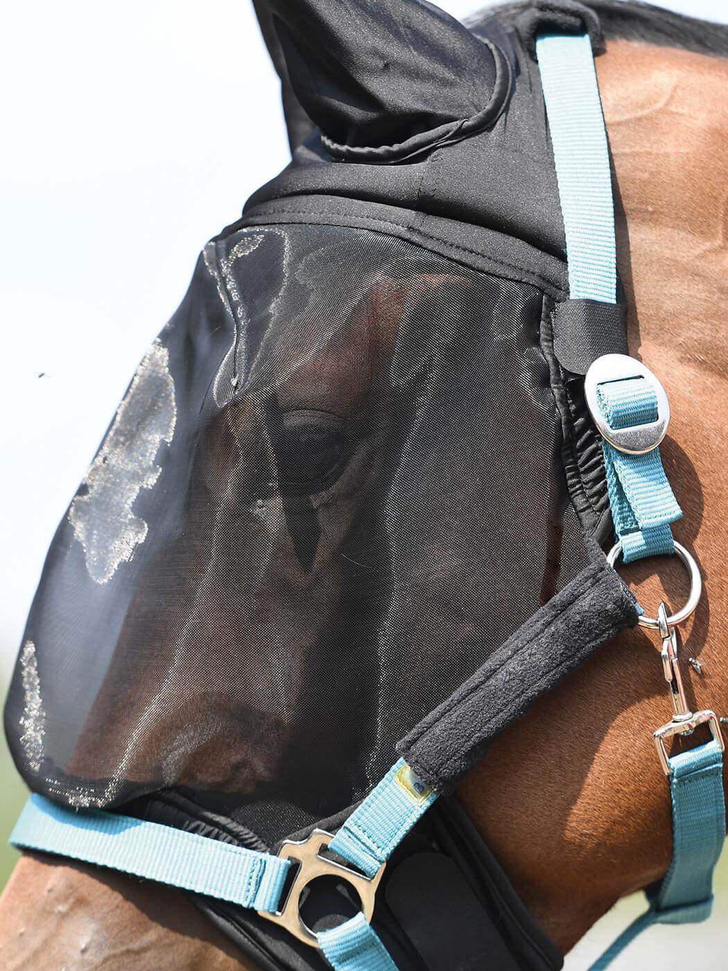 Fliegenmaske Combi Plus Insektenschutz Halfterbefestigung, schwarzer Kopf eines Pferdes mit Maske.