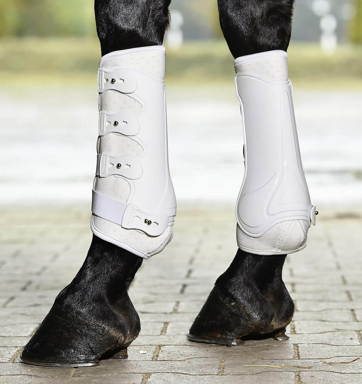 Gamaschen Dressage- Pro Beinschutz, Weiß, am Pferd getragen.