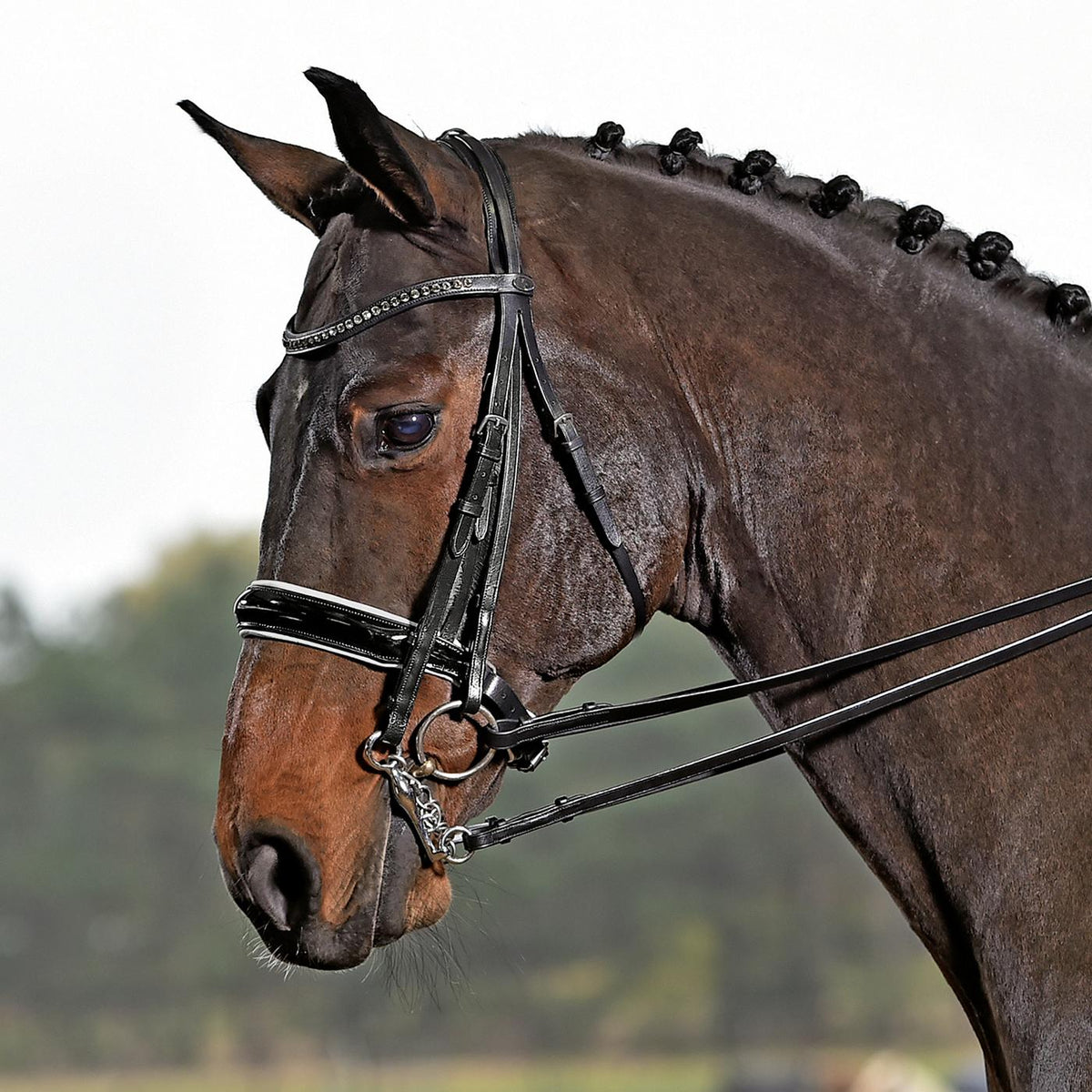 Kandare Luxury Kandarenzaum Lederkandare mit Zügel