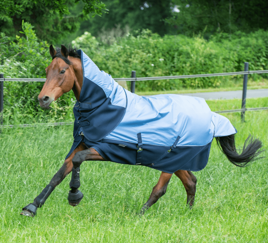 Outdoordecke 0g 3D Air Rain Regendecke, Hellblau, Pferd im Paddock trägt die Decke.