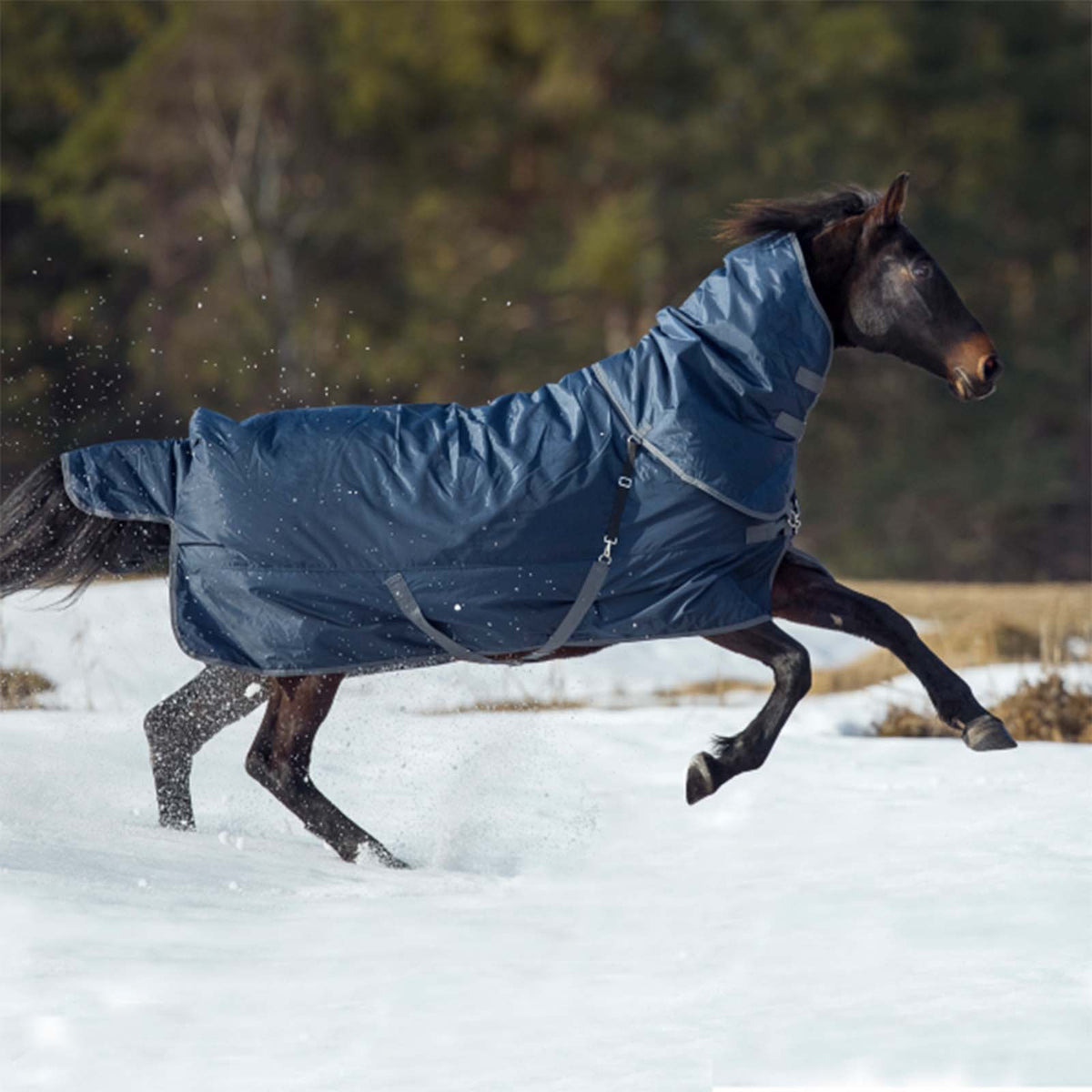 Outdoordecke 250g Flexible Pro Weidedecke, Blau, Pferd trägt Decke im Schnee.