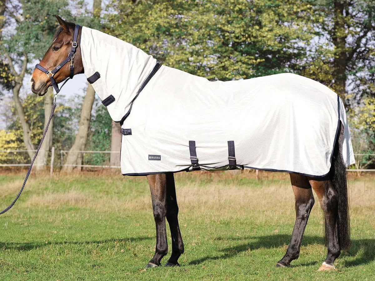 BUSSE Paddock-Fliegendecke Superb, Silber, Pferd auf der Weide mit Halsteil.