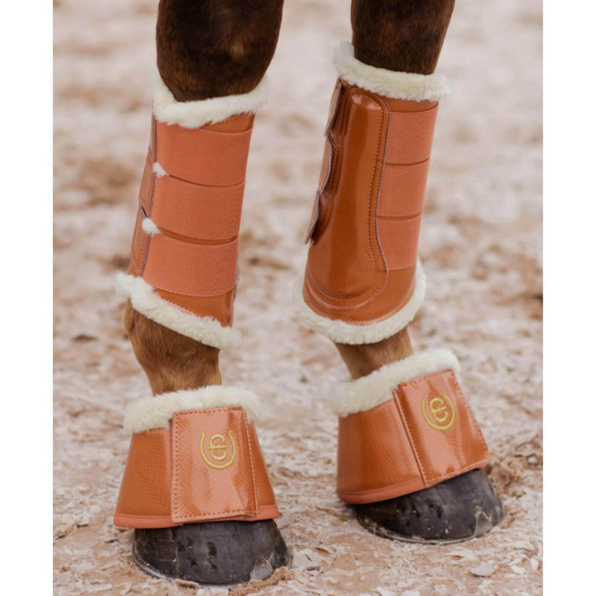 Gamaschen Bronze Gold FS 2022 Beinschutz, Bronze Gold, an Pferdebeinen getragen.