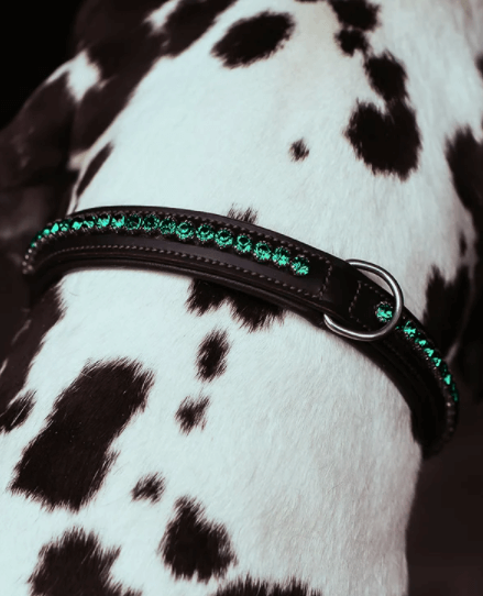 Hundehalsband Deep Olivine, Detailaufnahme am Hund mit grünem Strass.