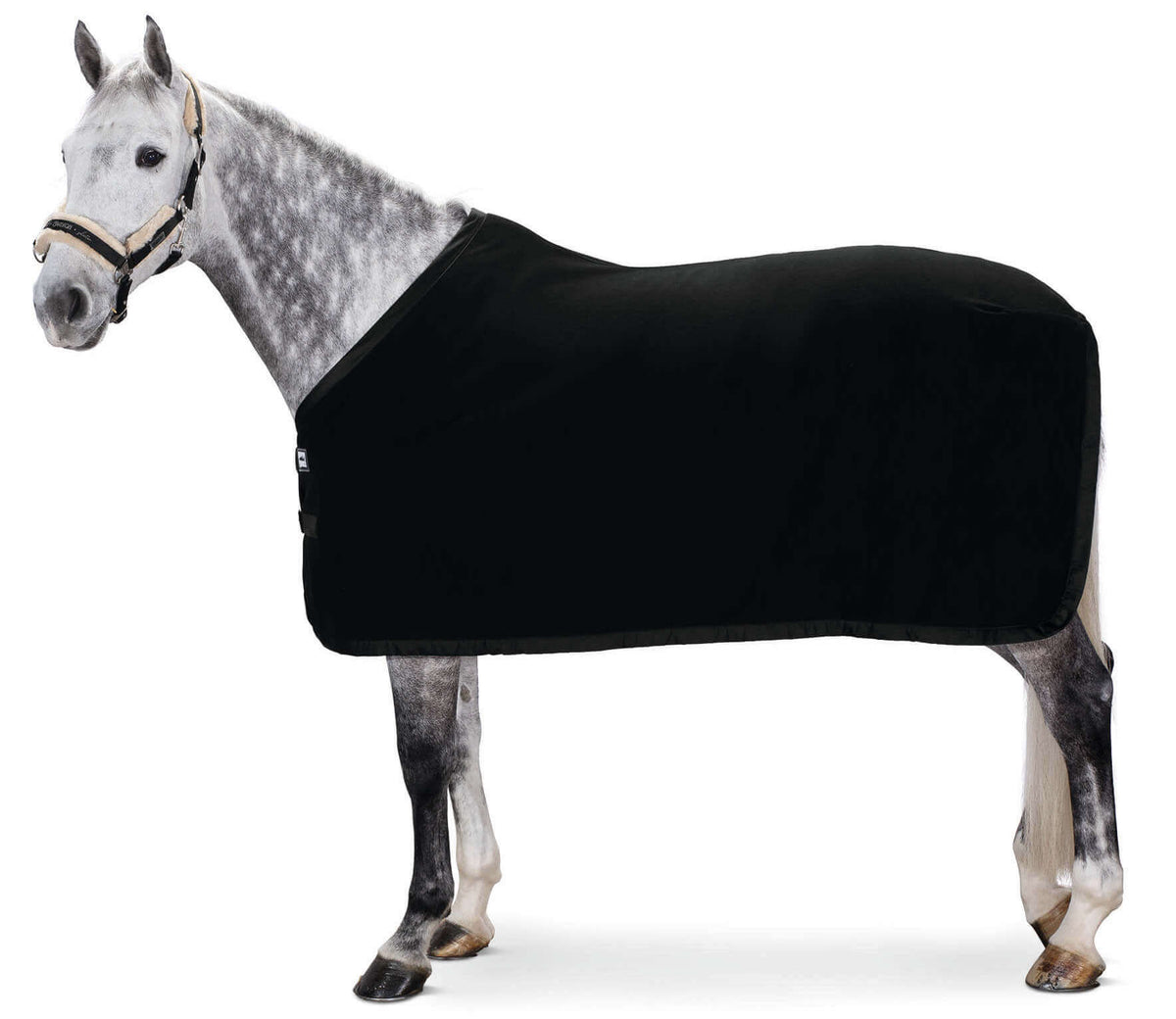 Abschwitzdecke Fleece Basics, Black, Pferd trägt die Decke seitlich.