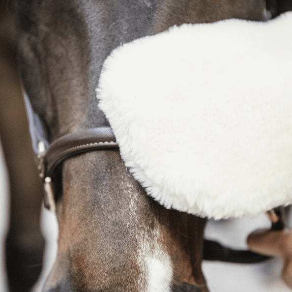 Grooming Deluxe Fell Putzhandschuh Schaffellhandschuh, Weiß, am Pferd verwendet.