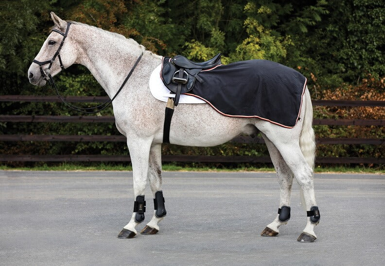 Horseware Ireland Ausreitdecke Rambo Waterproof Fleece Competition Sheet, Black/Tan, Pferd trägt die Decke im Freien.