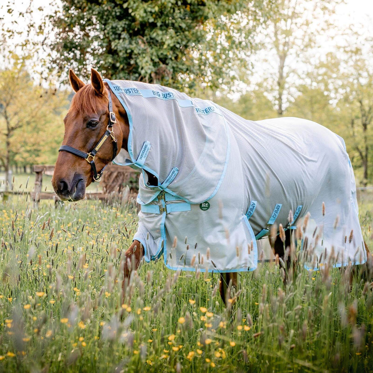 Horseware Ireland Fliegendecke AmEco Bug Buster Plus, Silver/Sky Blue, Pferd auf der Weide.