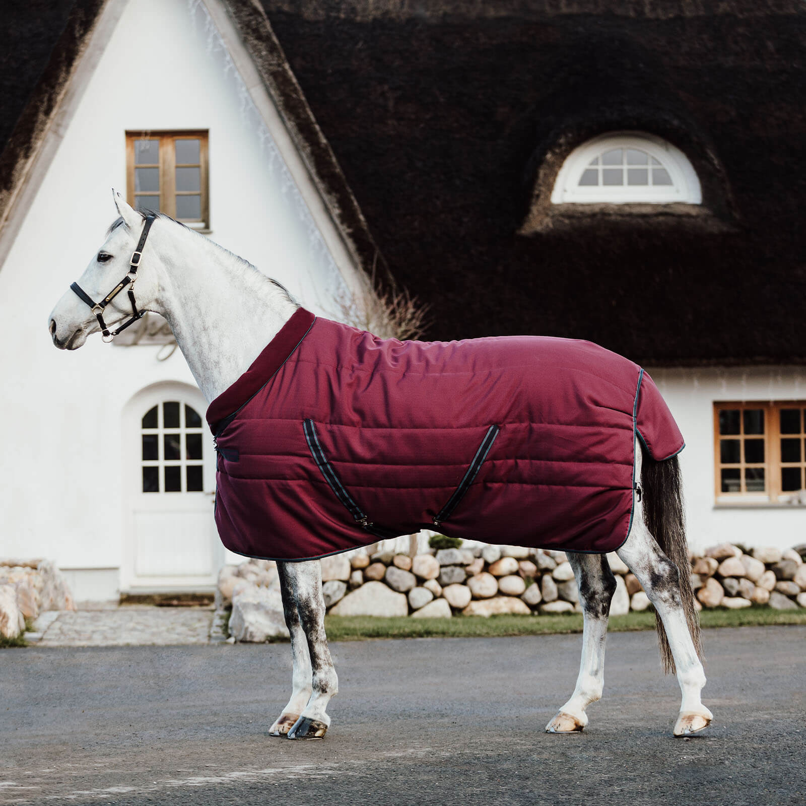 Stalldecke 200g Rambo Cosy Stable