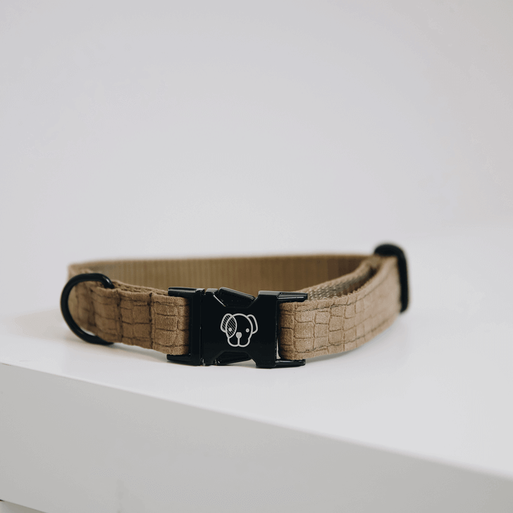 Halsband Lizard Hundehalsband, Braun, Produkt allein auf weißem Hintergrund.