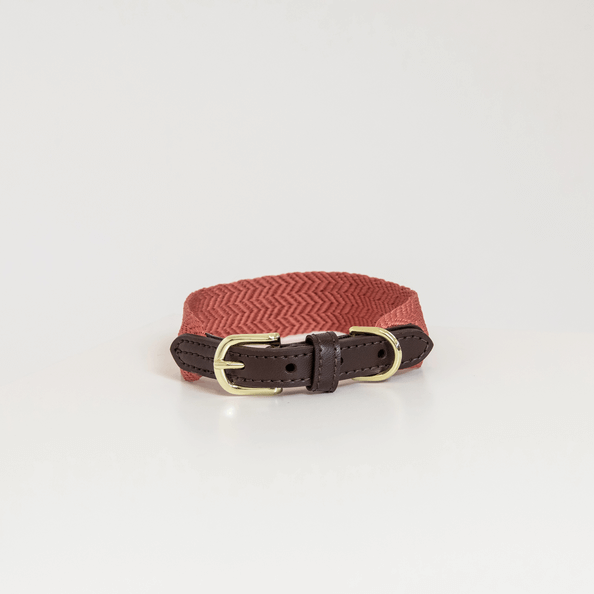 Kentucky Dogwear Hundehalsband Jacquard, Terrakotta, Produkt allein auf weißem Hintergrund.