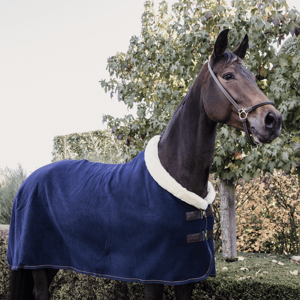 Abschwitzdecke Fleece Show Heavy Fellkragen, Navy, Pferd im Freien trägt die Decke.