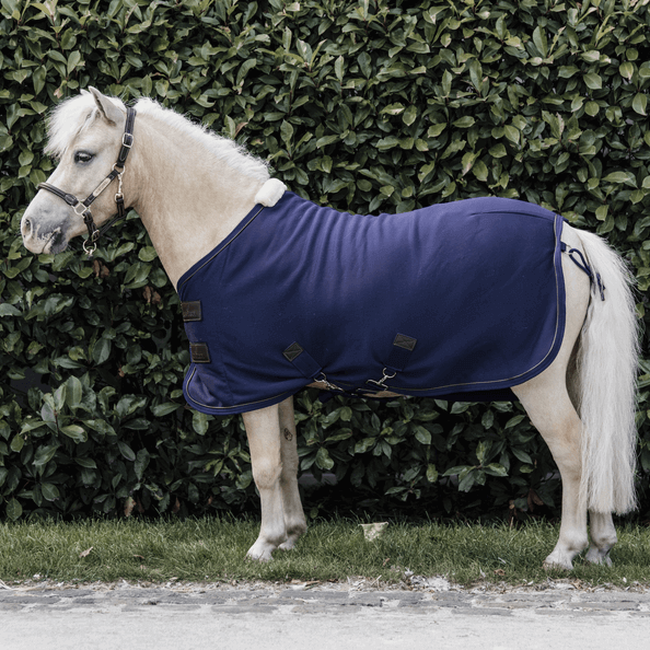 Kentucky Horsewear Abschwitzdecke Fleece Tiny Ponydecke, Midsummer Blue, Pony im Profil im Garten.