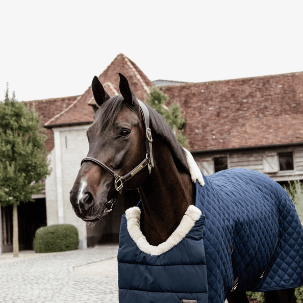 Brustschoner für Pferdedecken Horse BIB Winter, dunkelblau, Pferd mit Brustschoner vor Stallgebäude.