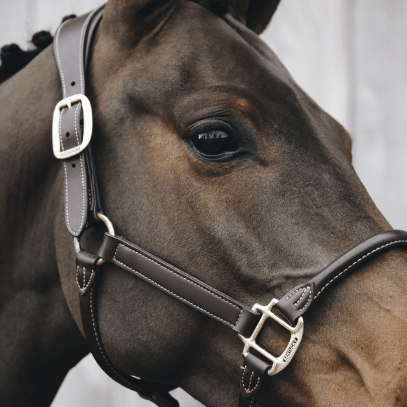 Kentucky Horsewear Genickstück für Lederhalfter Anatomic, dunkelbraun, Detailaufnahme am Pferdekopf.