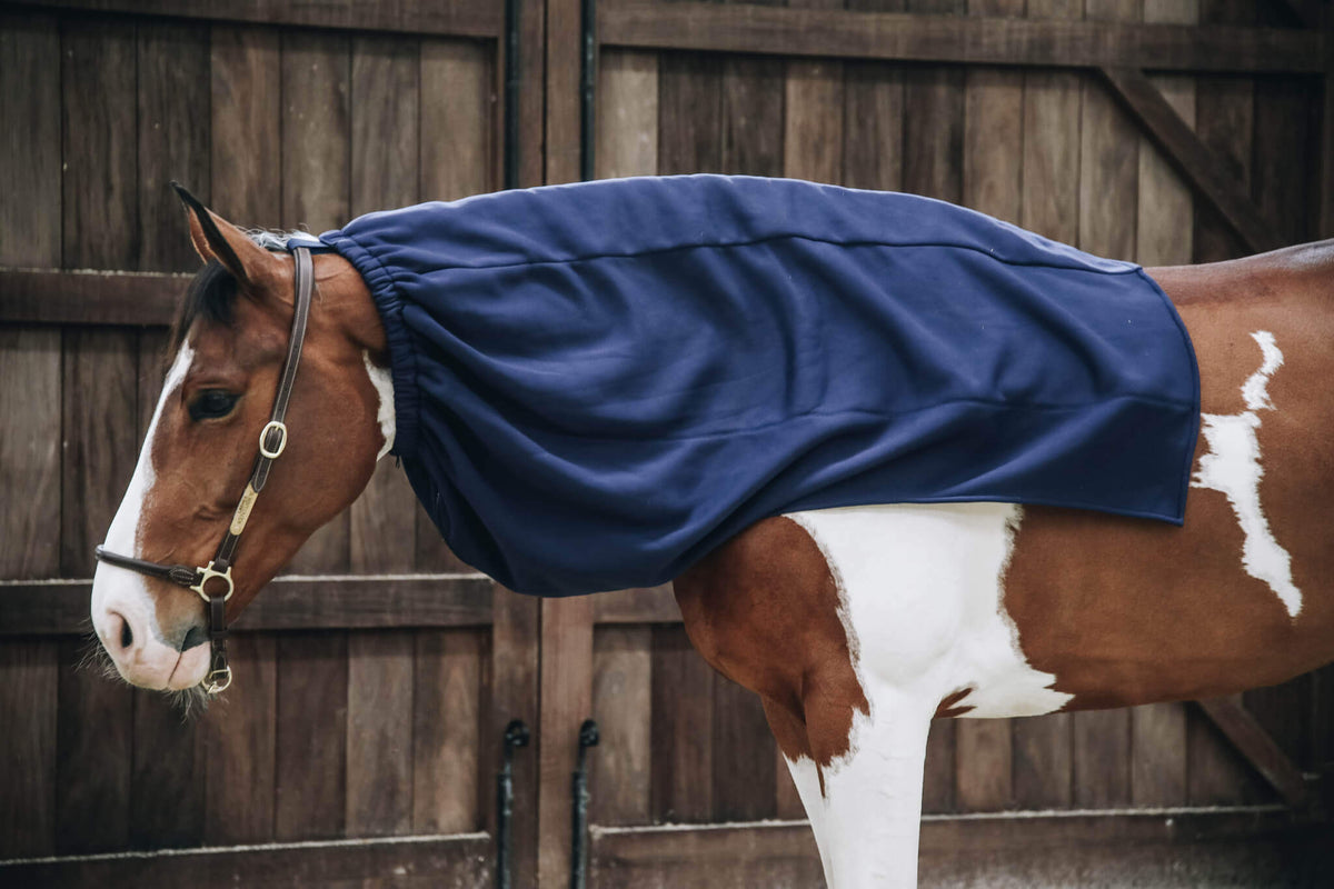 Halsteil Cooler Fleece, Midsummer Blue, am Pferd vor Holztür.
