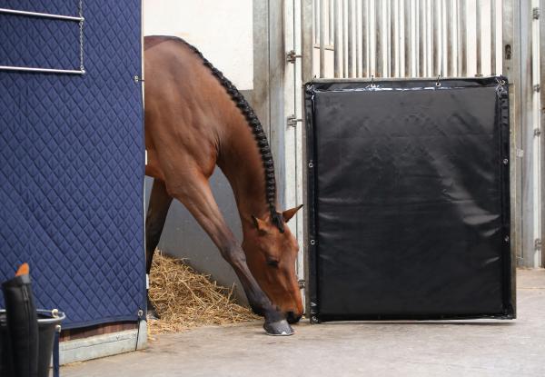 Kentucky Horsewear Kick Pad Trittschutz, Pferd in der Box neben schwarzer Schutzmatte.
