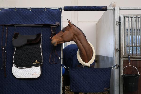 Kentucky Horsewear Kopfschutz für die Boxentür, Dunkelblau, Pferd in der Box neben der Boxentür.