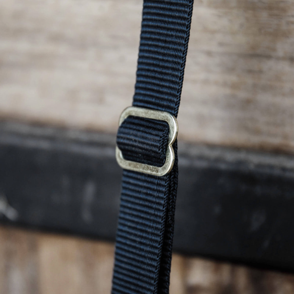 Nylon Halter Hook & Ring Lang, Marine, Detailaufnahme der Schnalle am Halfter.