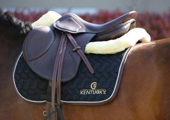 Kentucky Horsewear Springschabracke Absorb Sattelunterlage, schwarze Springschabracke unter einem Sattel am Pferd.