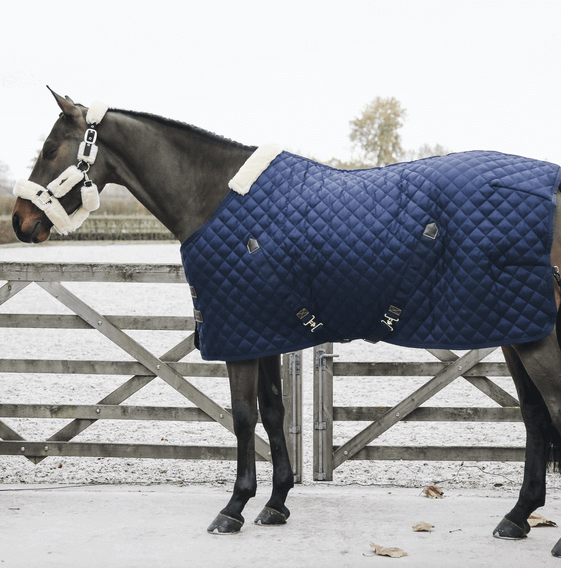 Kentucky Horsewear Stalldecke 200g Stable Rug Winterdecke, Blue, Pferd mit Decke am Tor.