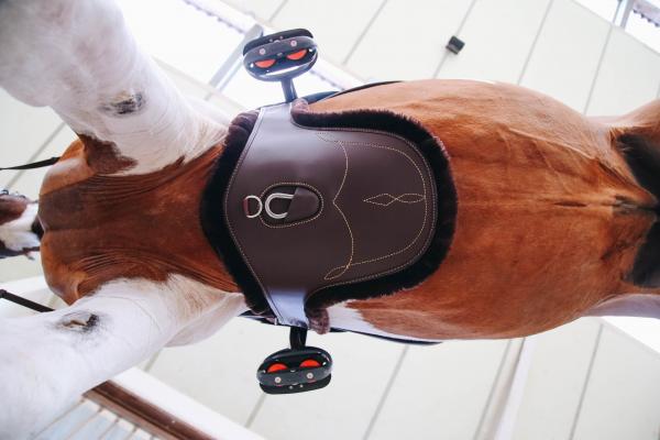 Kentucky Horsewear Stollengurtschoner Lammfell Gurtschoner, braun, am Pferd getragen.