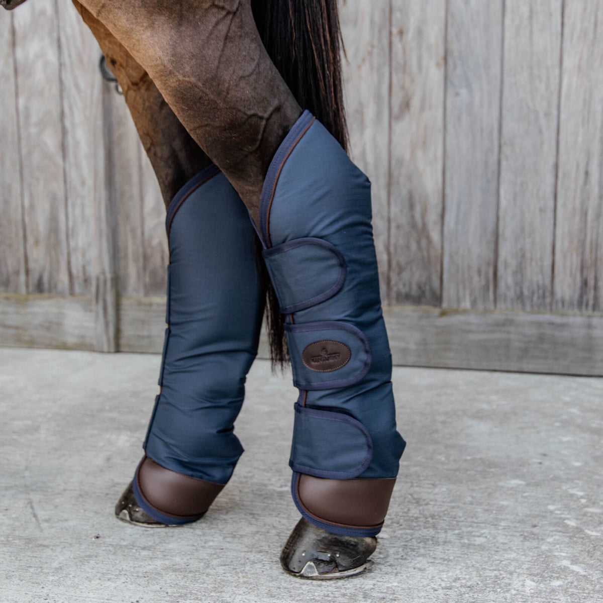 Transportgamaschen von Kentucky Horsewear, Marineblau, Detailaufnahme an Pferdebeinen.