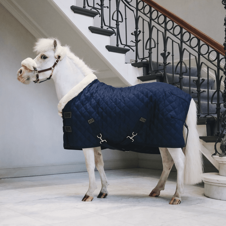 Kentucky Horsewear Turnierdecke 160g Tiny Pony, Navy, Pony mit Decke im Innenraum.