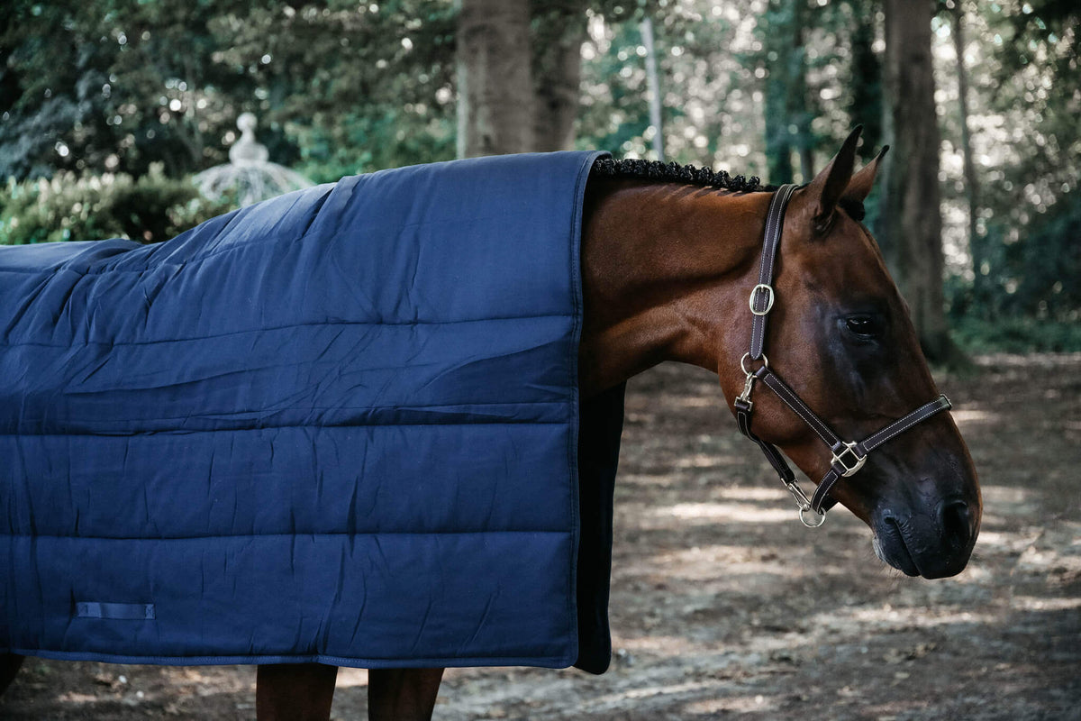 Kentucky Horsewear Unterdecke 300g Liner, Navy, Pferd trägt die Unterdecke im Freien.