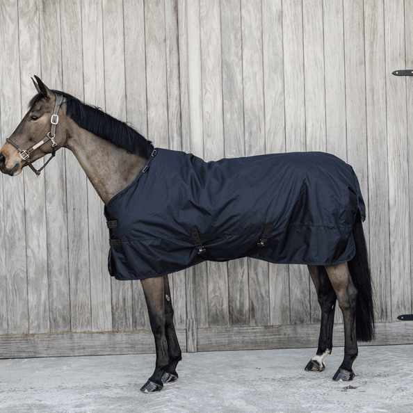 Kentucky Horsewear Outdoordecke 300g All Weather Waterproof Classic Weidedecke, dunkles Marineblau, Pferd trägt die Decke.