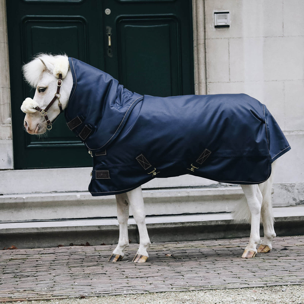 Outdoordecke 300g All Weather Wasserdicht Pro Tiny Ponydecke, Navy, Pony trägt die Decke vor einer Tür.