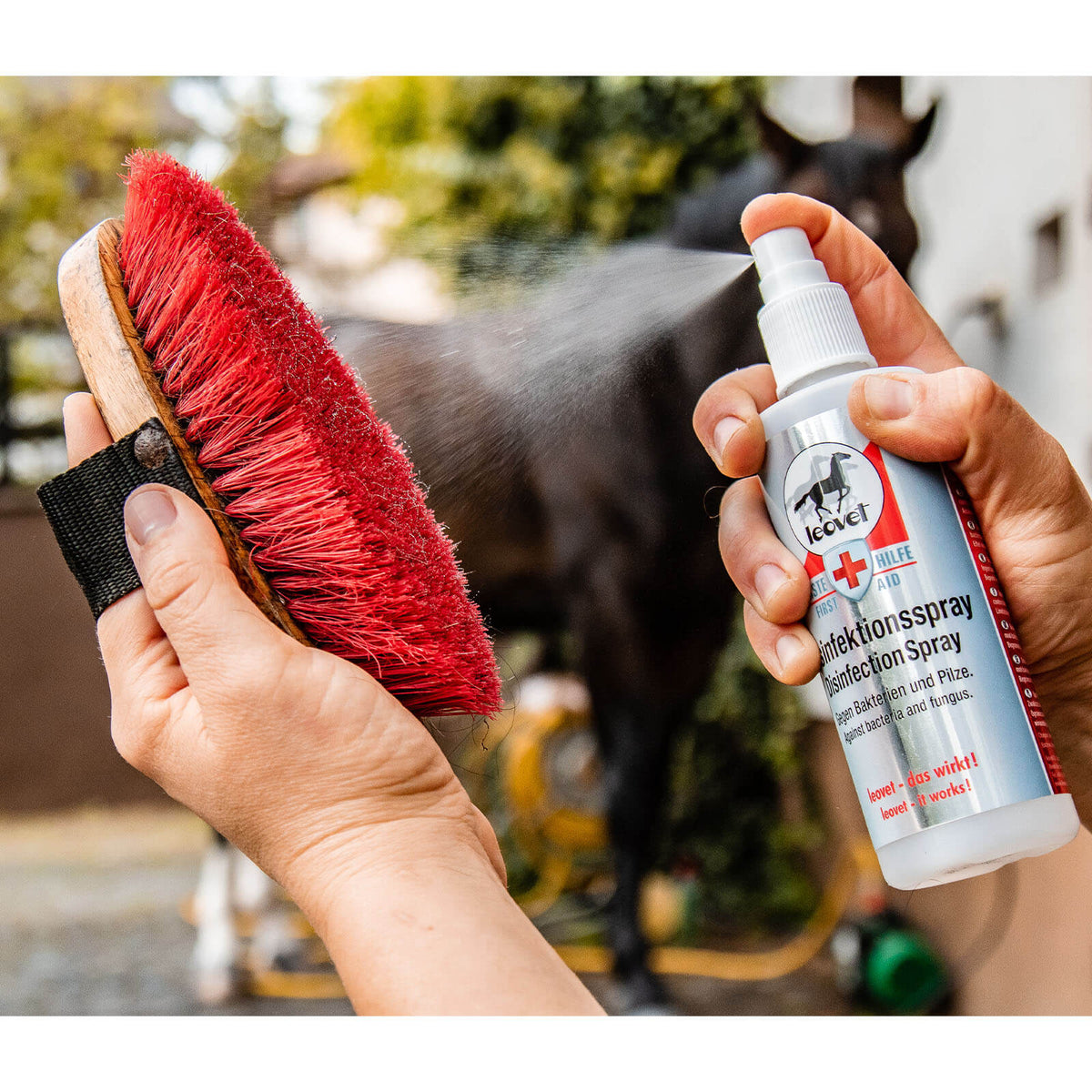 leovet Desinfektionsspray zur Flächendesinfektion, Produkt wird auf Bürste gesprüht.