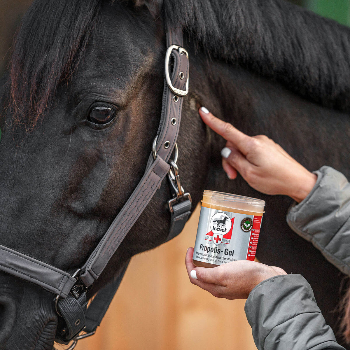 leovet Pflegemittel Propolis-Gel Hautpflege, Produkt allein, Anwendung am Pferdekopf.