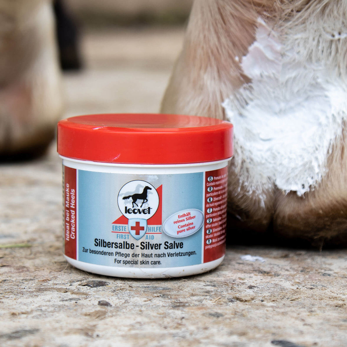 leovet Silbersalbe, rote Dose, Produkt allein neben Pferdebein mit aufgetragener Salbe.