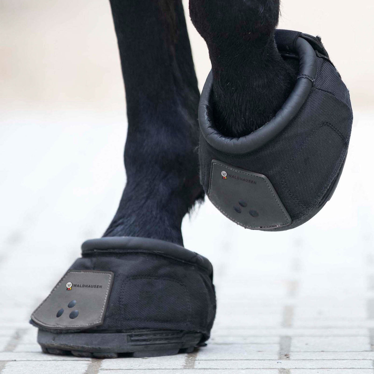 Waldhausen Hufschuh Einzeln, Schwarz, an Pferdehufen getragen.