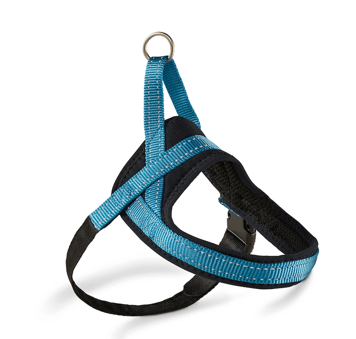 Geschirr Soft & Safe Hundegeschirr, Aqua/Schwarz, Produkt allein auf weißem Hintergrund.
