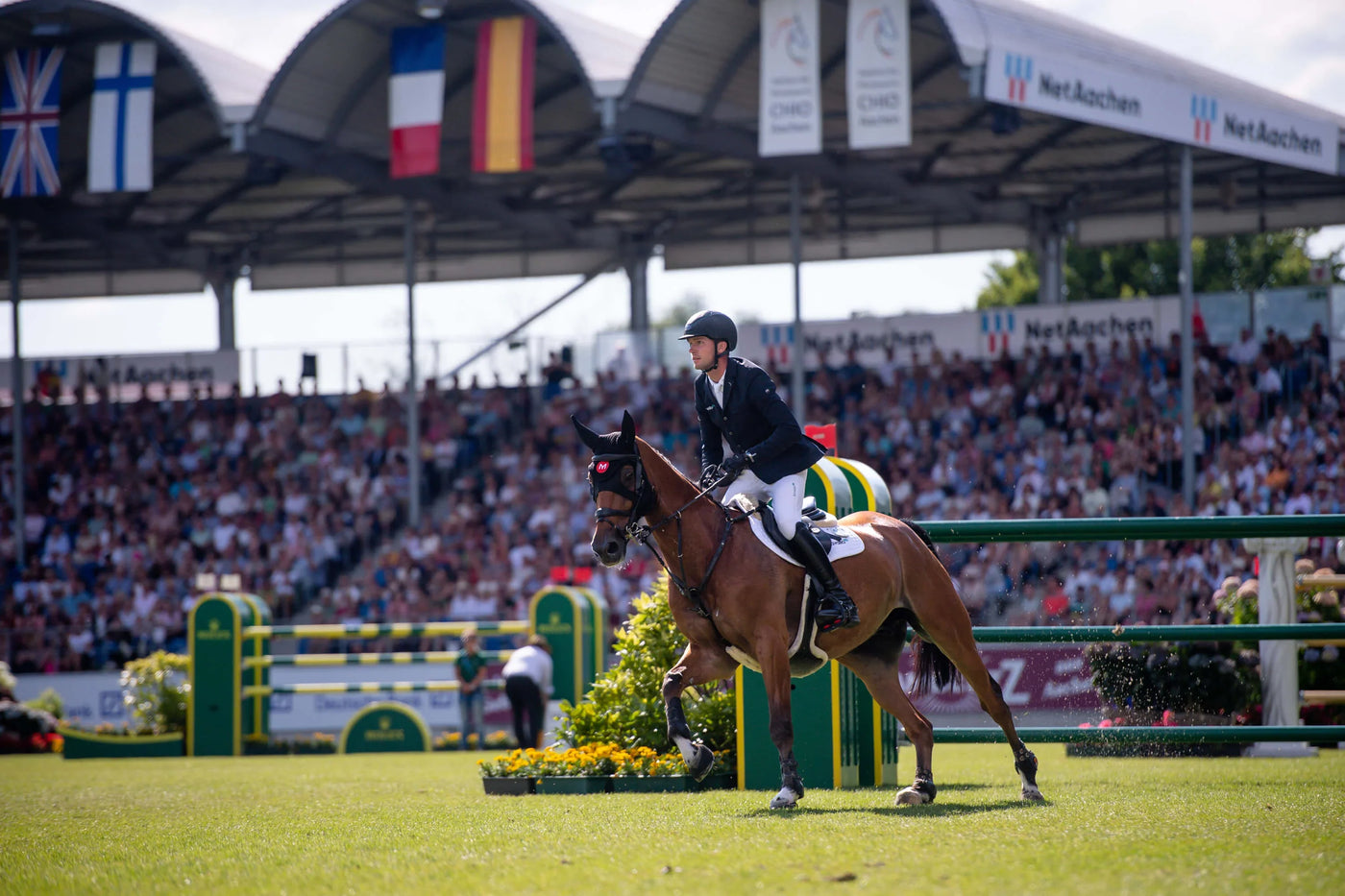 Reiter springt mit braunem Pferd über Hindernis im Stadion von Aachen, Die schönsten Reitturniere in Deutschland.