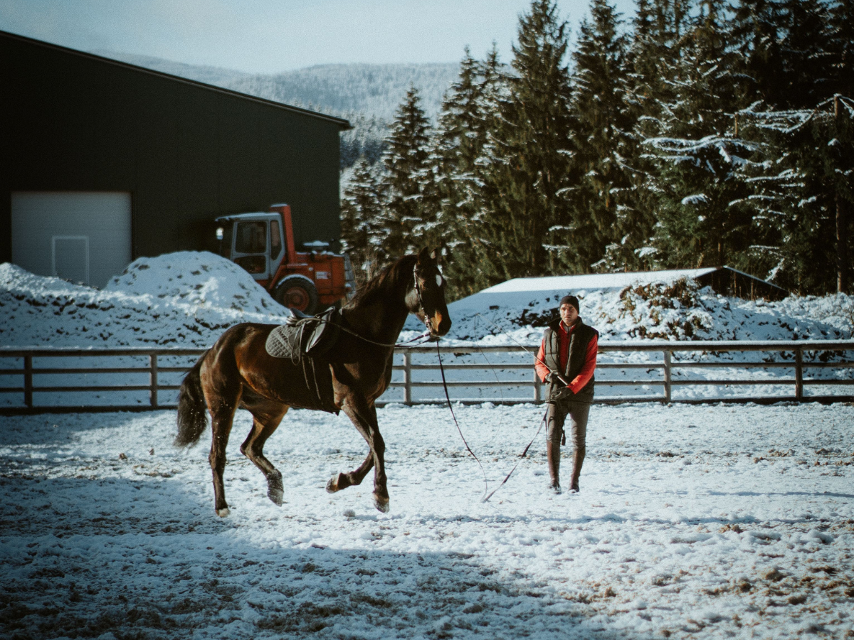 Bodenarbeit für den Winter: 10 Übungen für graue Tage