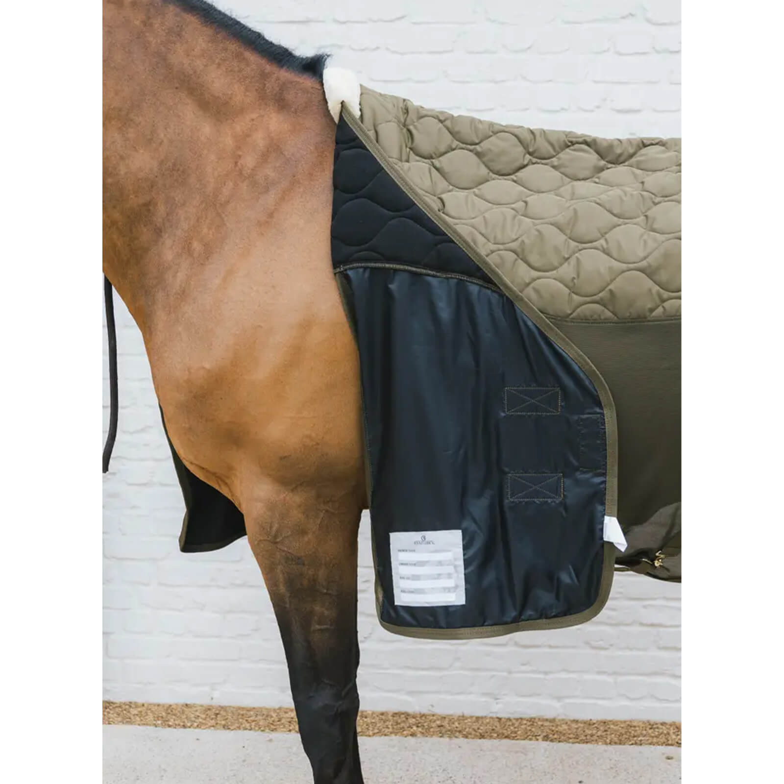 Transportdecke Abschwitzdecke Combo Cooler