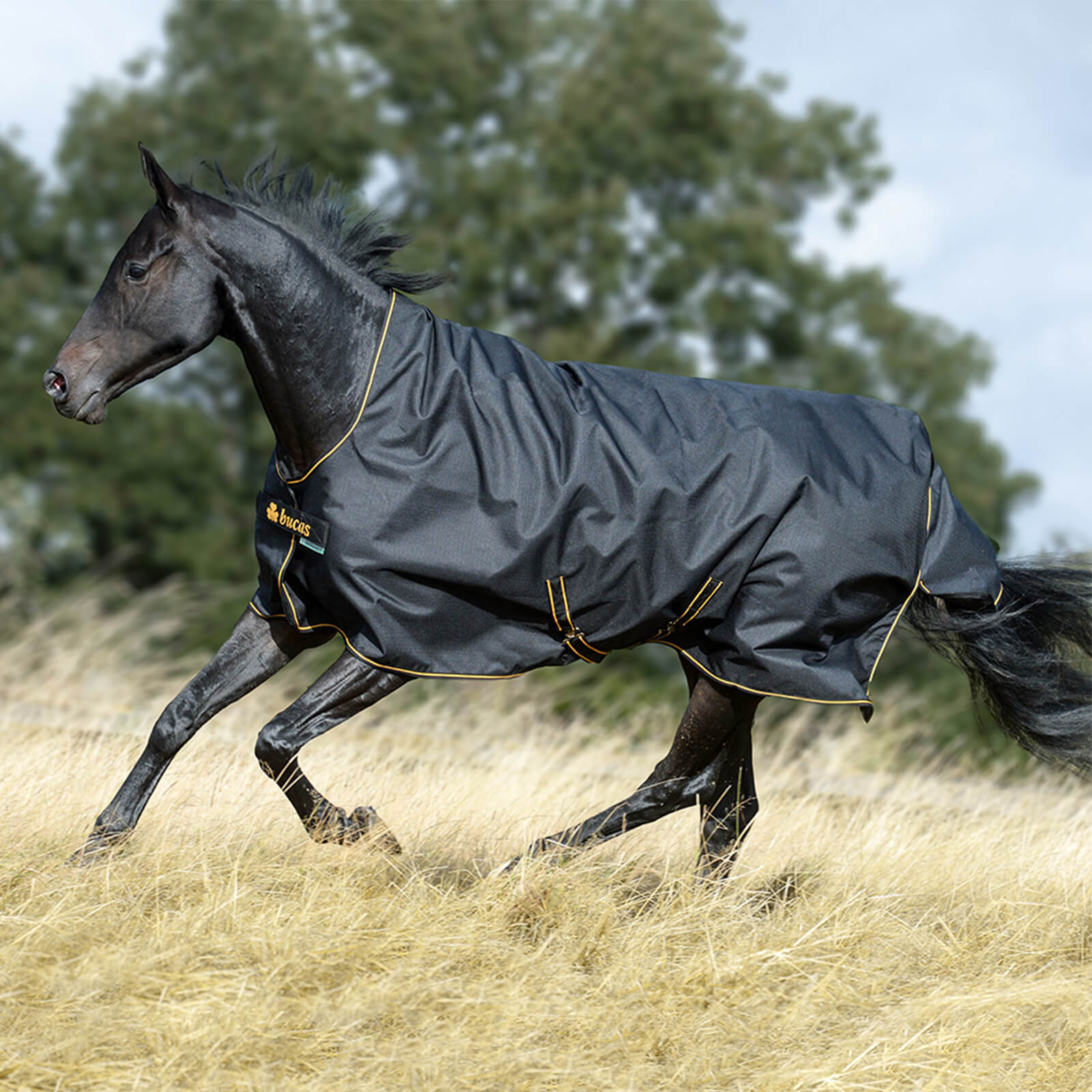 Outdoordecke 50g Irish Turnout High Neck Weidedecke