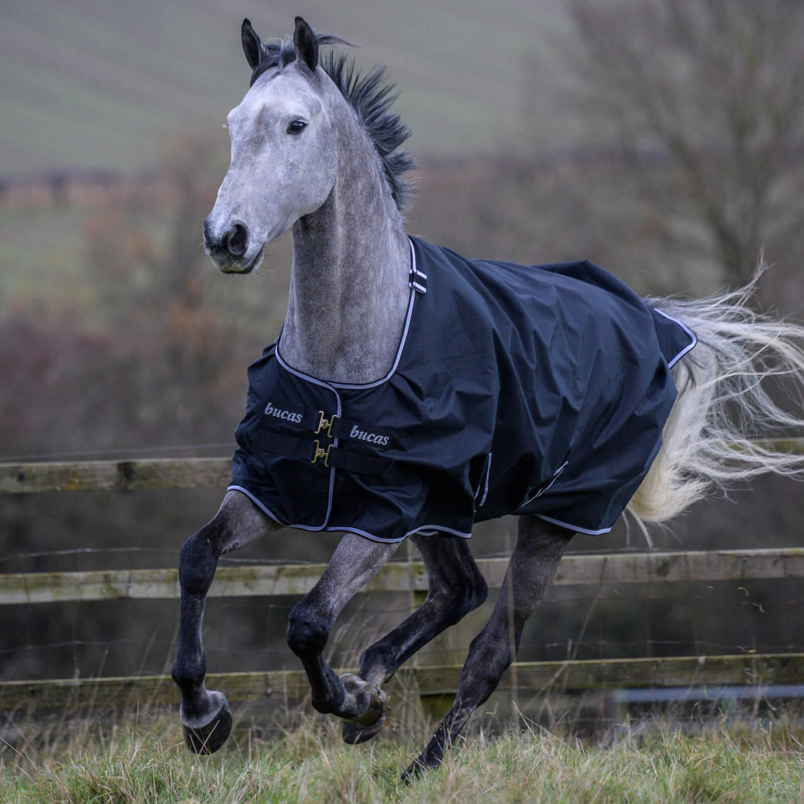 Outdoordecke 200g Trot Turnout Weidedecke