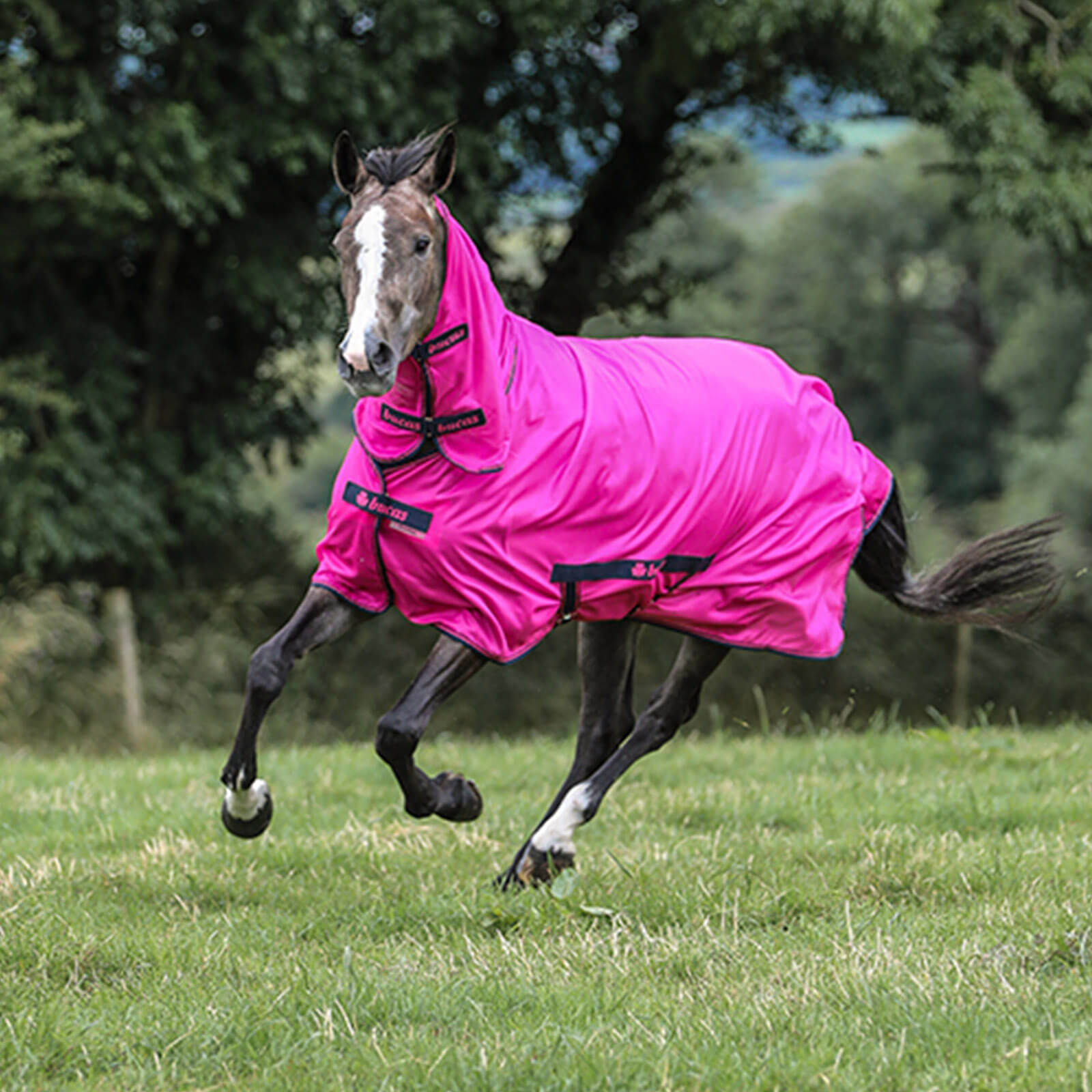 Fliegendecke Freedom Fly Sheet Full Neck Insektenschutzdecke