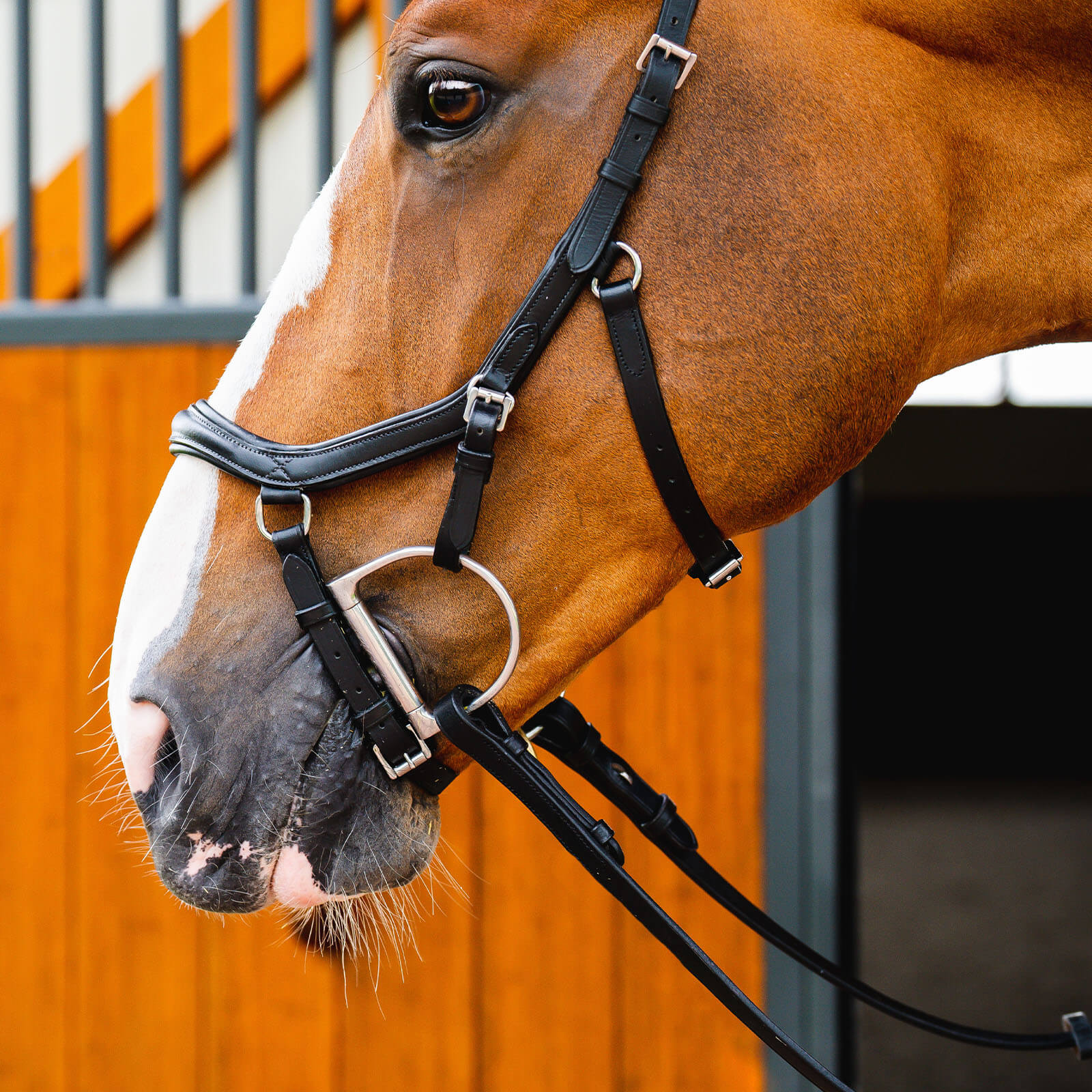 Trense Micklem 2 Deluxe Competition Bridle Micklemtrense