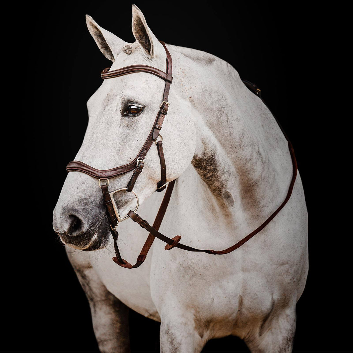Trense Micklem 2 Deluxe Competition Bridle Micklemtrense