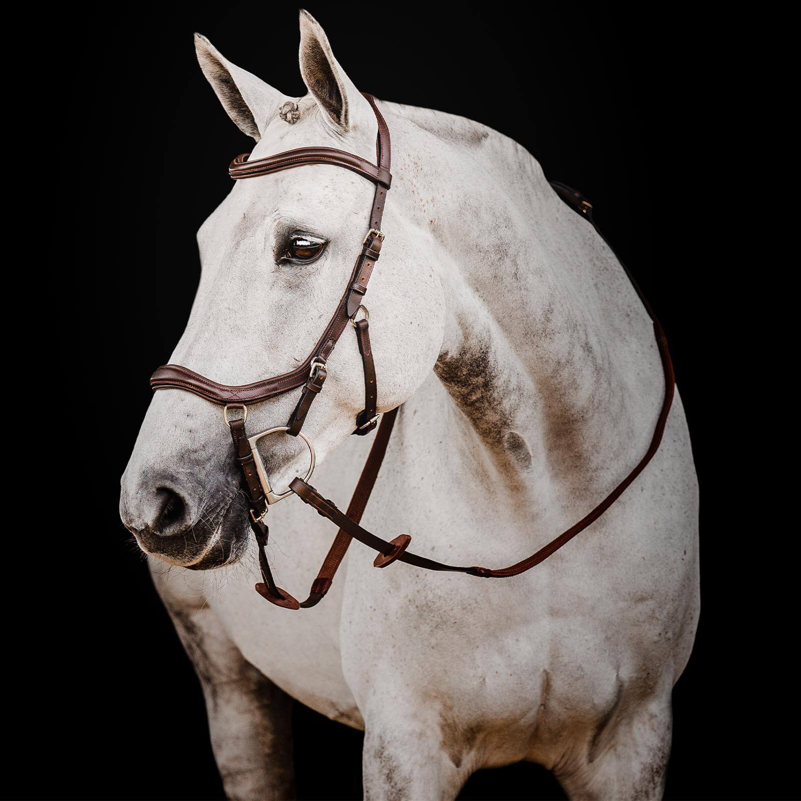 Trense Micklem 2 Deluxe Competition Bridle Micklemtrense