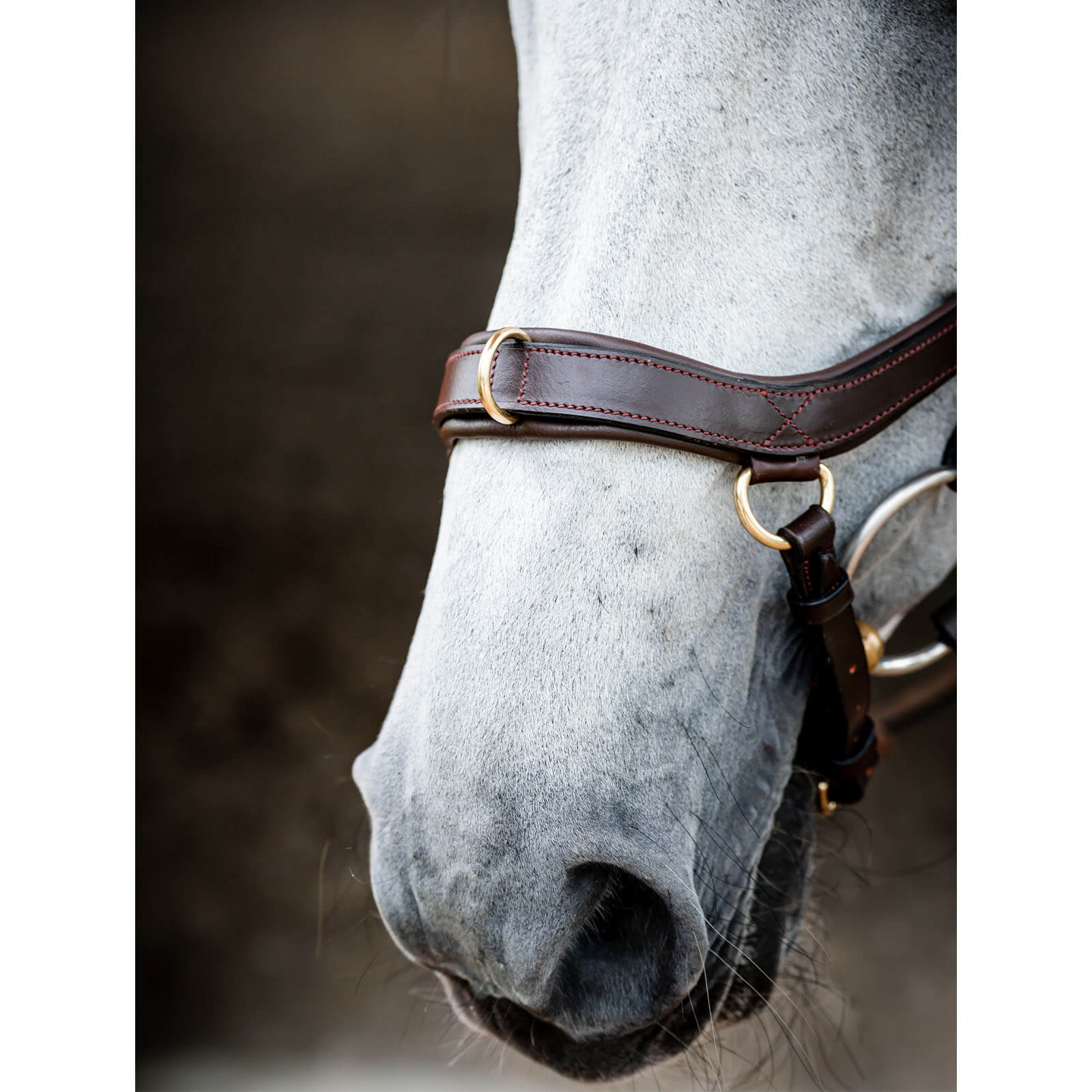 Trense Micklem 2 Multi Bridle Micklemtrense