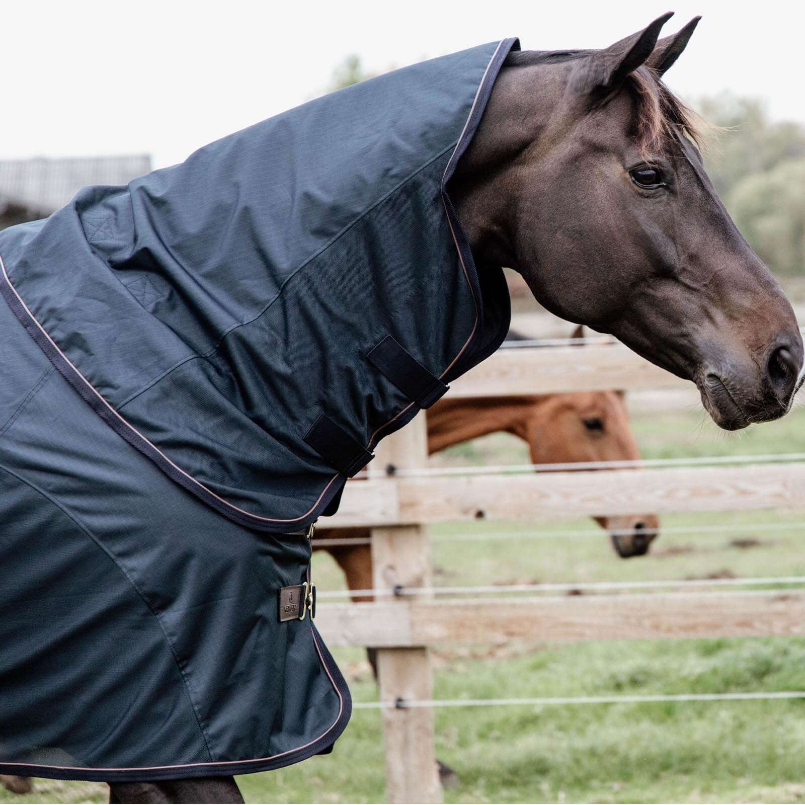 Fliegendecke Regendecke Waterproof Combo Classic